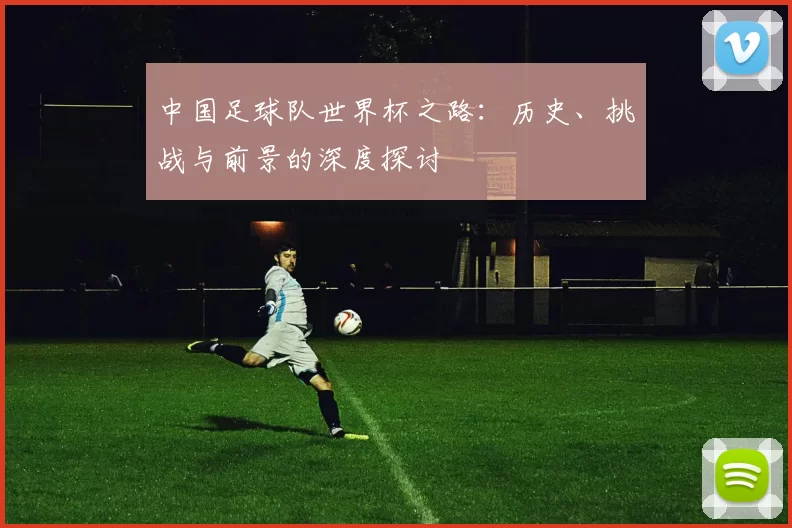 中国足球队世界杯之路:历史、挑战与前景的深度探讨
