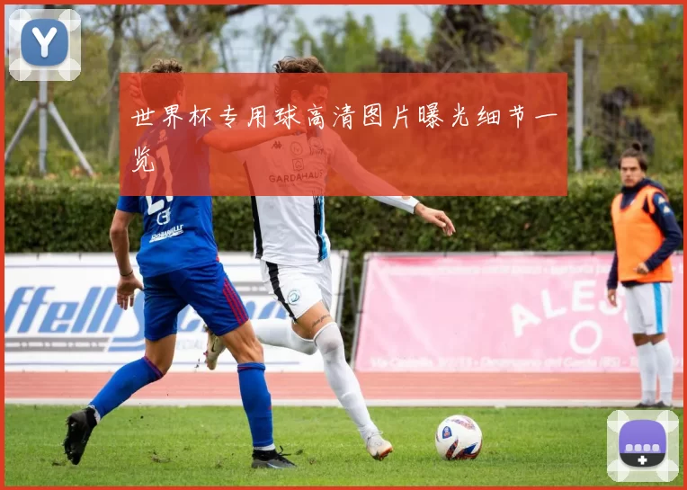 世界杯专用球高清图片曝光细节一览
