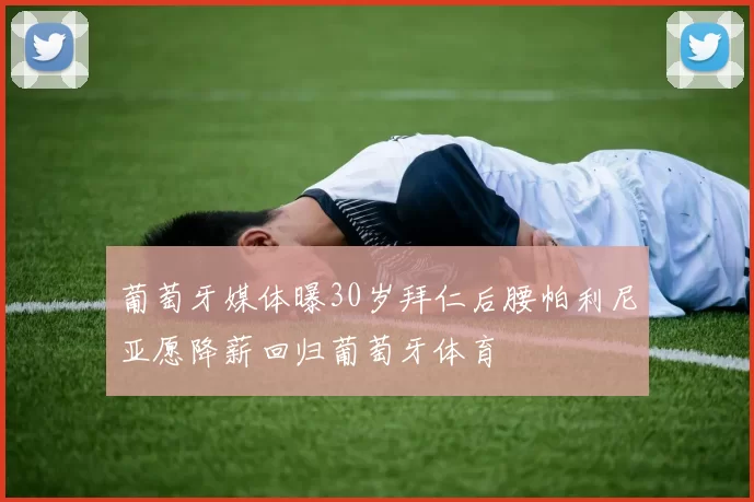 葡萄牙媒体曝30岁拜仁后腰帕利尼亚愿降薪回归葡萄牙体育