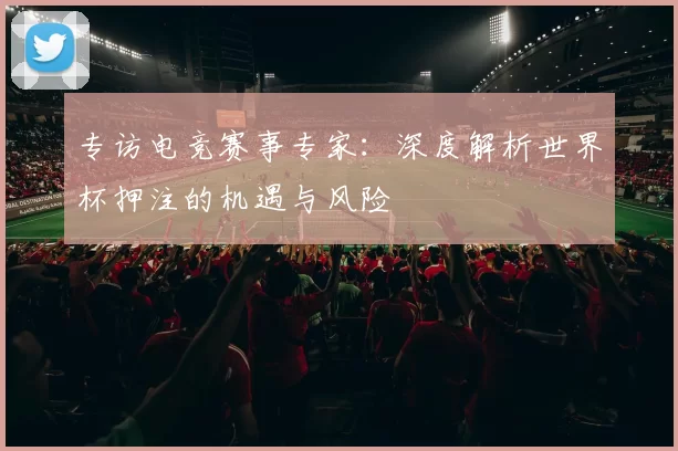 专访电竞赛事专家:深度解析世界杯押注的机遇与风险