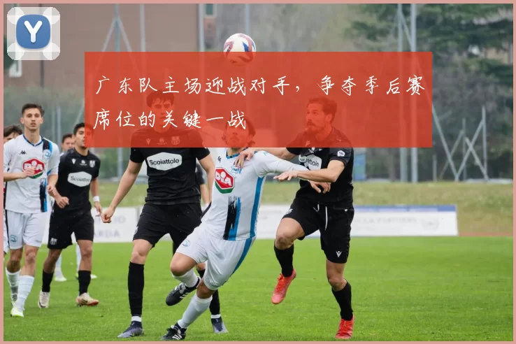 广东队主场迎战对手,争夺季后赛席位的关键一战