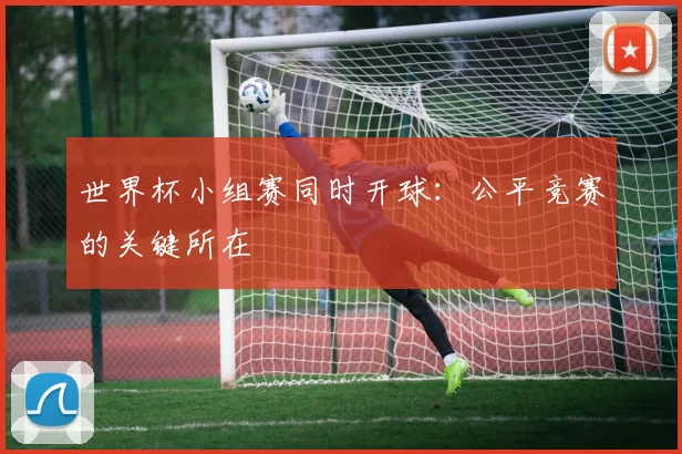世界杯小组赛同时开球：公平竞赛的关键所在