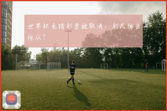 世界杯竞猜彩票被取消,彩民何去何从?