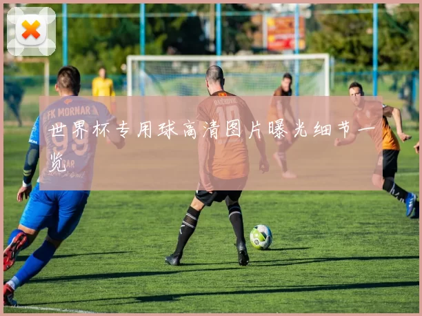 世界杯专用球高清图片曝光细节一览
