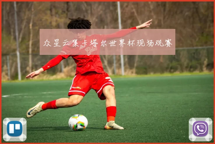 众星云集卡塔尔世界杯现场观赛