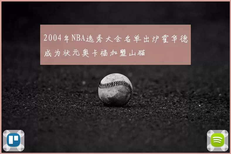 2004年NBA选秀大会名单出炉霍华德成为状元奥卡福加盟山猫