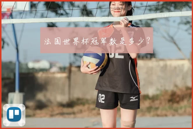 法国世界杯冠军数是多少?