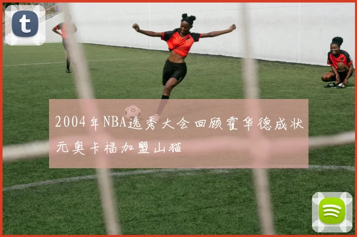 2004年NBA选秀大会回顾霍华德成状元奥卡福加盟山猫