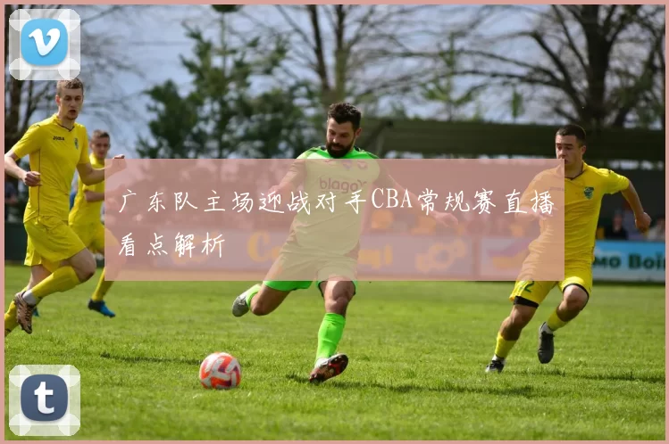 广东队主场迎战对手CBA常规赛直播看点解析